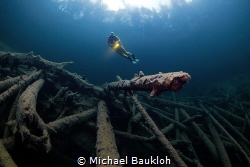 Underwater forest by Michael Baukloh 